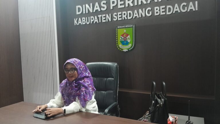IMG-20250306-WA0008