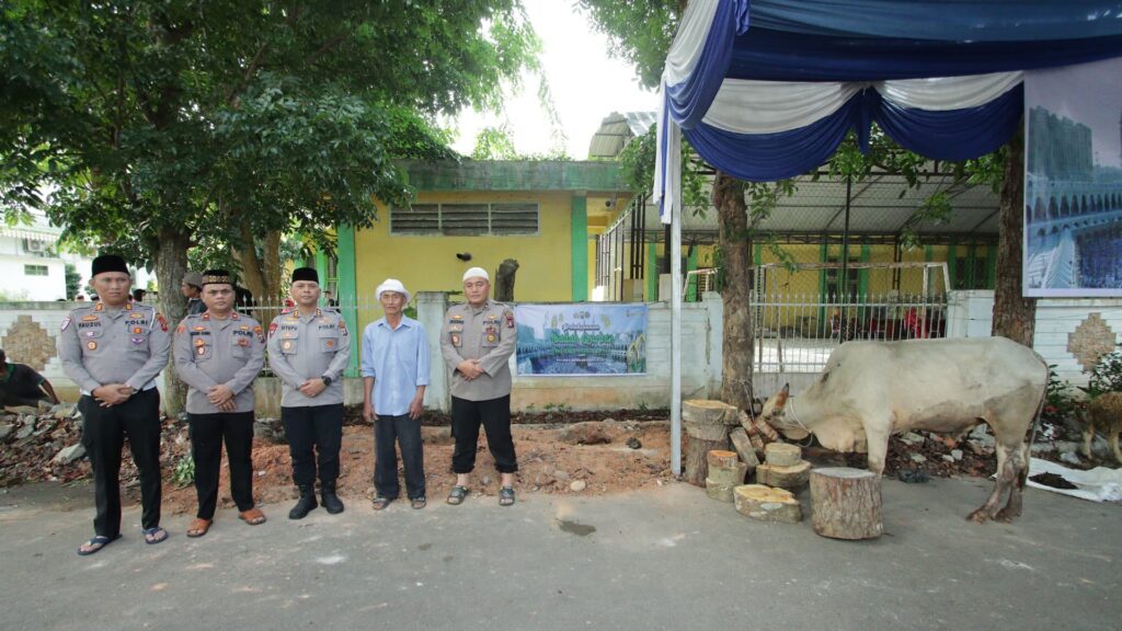 IMG-20250606-WA0006