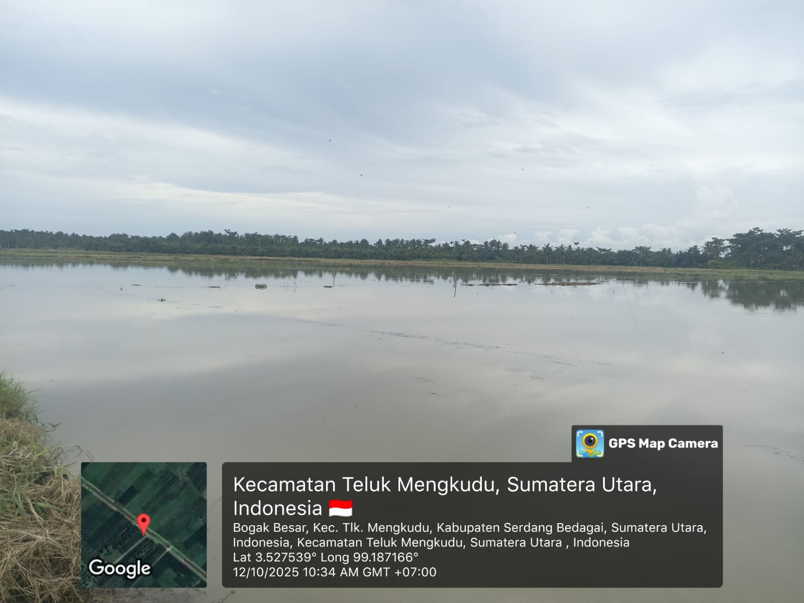 IMG-20251013-WA0004
