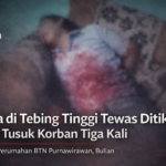 file_0000000050b871f8ab775581f9825f35